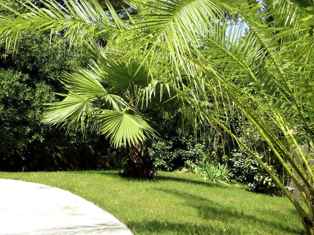 Appartement Dans Villa St Raphael Saint-Raphaël Habitación foto