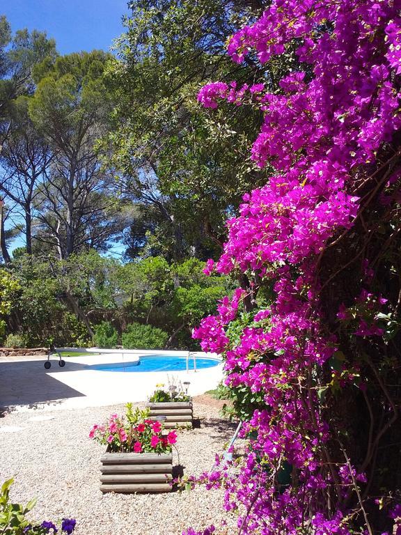 Appartement Dans Villa St Raphael Saint-Raphaël Exterior foto